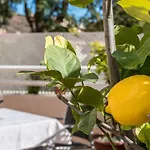 Casa Limonar Appartement Málaga