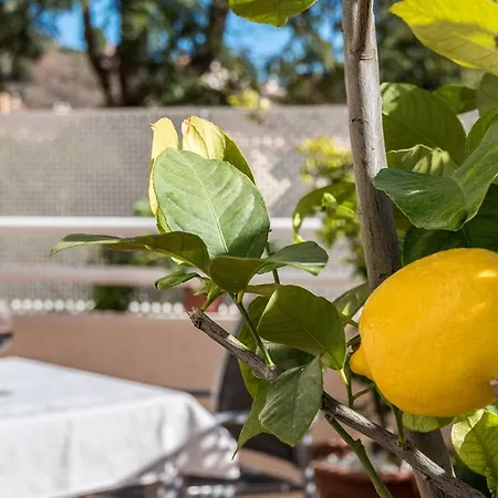 Casa Limonar Daire Málaga